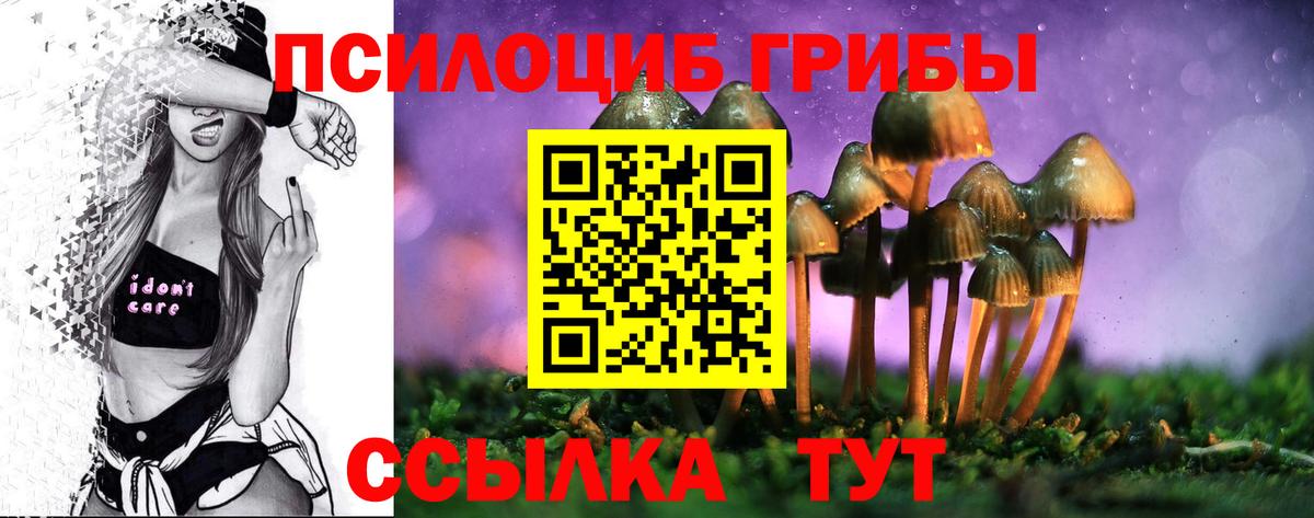 Галлюциногенные грибы GOLDEN TEACHER Камышин