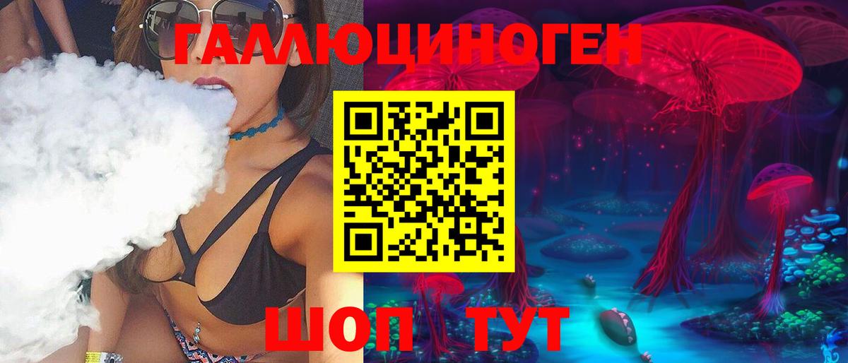 продажа наркотиков  Галлюциногенные грибы GOLDEN TEACHER  Вход с VPN  Камышин 